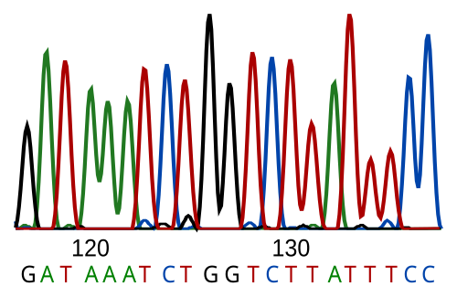 DNA Comparison
