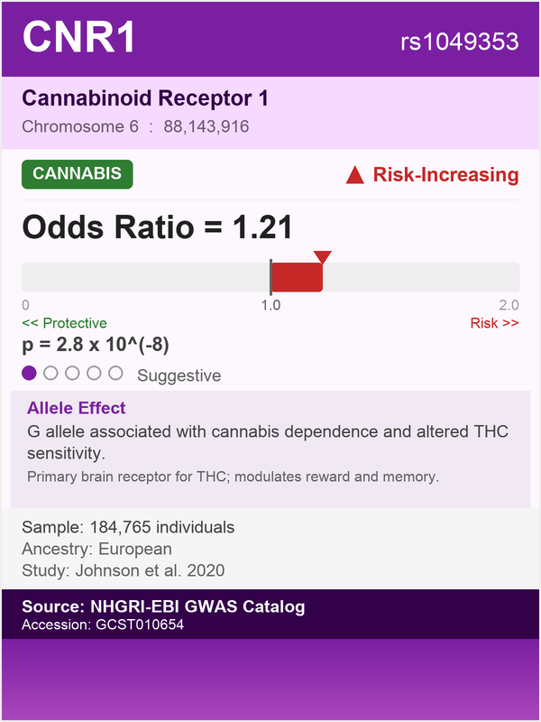 CNR1 gene - Cannabinoid Receptor 1, risk for cannabis dependence (rs1049353, OR=1.21)