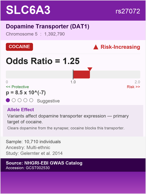 SLC6A3 gene - Dopamine Transporter, risk for cocaine dependence (rs27072, OR=1.25)
