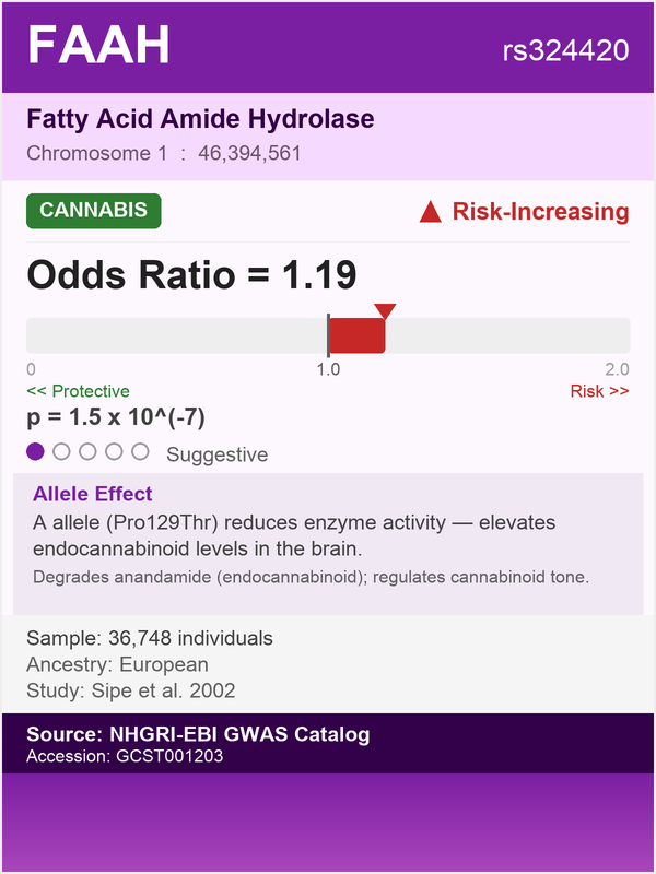 FAAH gene - Fatty Acid Amide Hydrolase, risk for cannabis dependence (rs324420, OR=1.19)