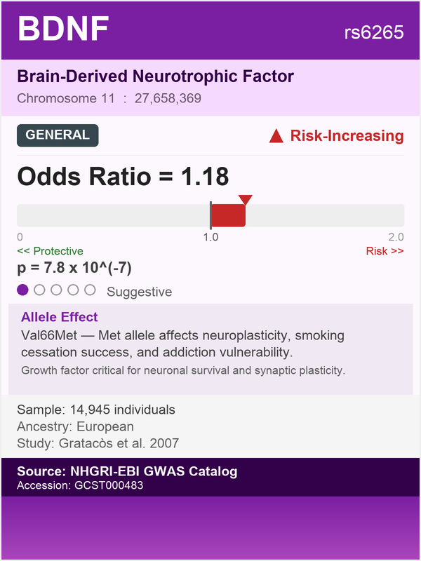 BDNF gene - Brain-Derived Neurotrophic Factor, risk for substance dependence (rs6265, OR=1.18)